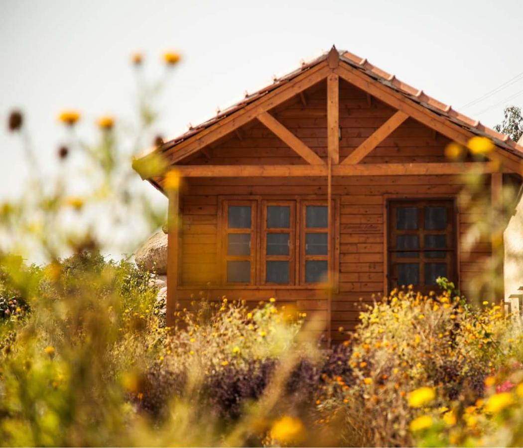 Leo Wodden Resort Хампи Екстериор снимка